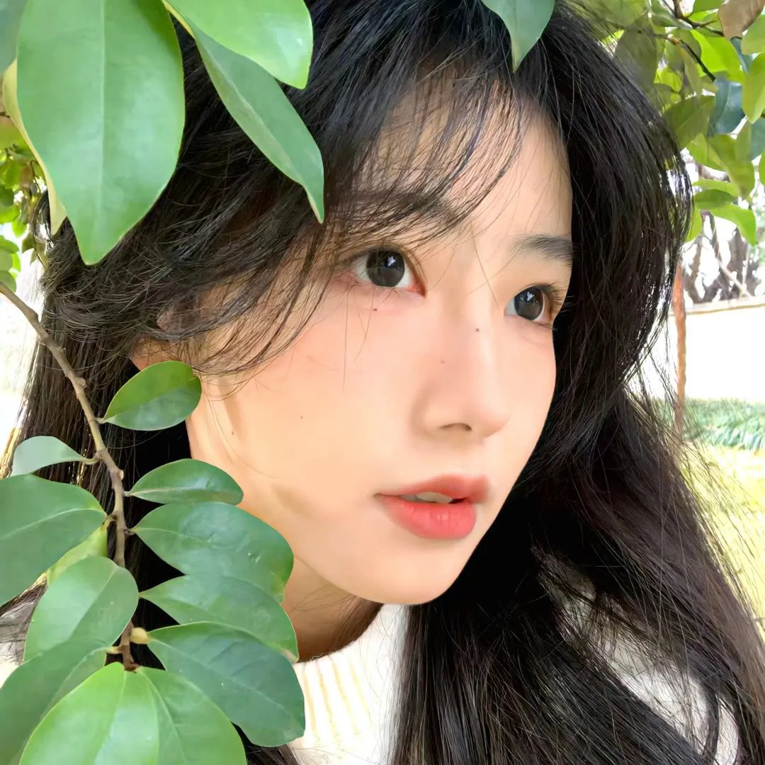 吟游诗人